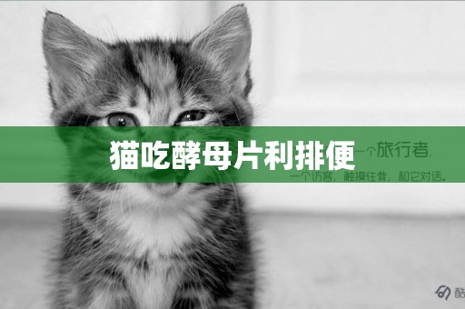 猫吃酵母片利排便